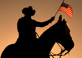 Texas Primary Runoff Day Overview