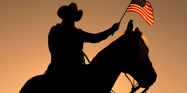 Texas Primary Runoff Day Overview