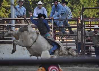 What It Takes to be a Cowboy