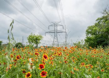 Texas Electricity Demand Could Nearly Double in Six years, Grid Operator Predicts