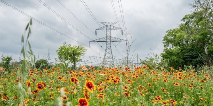 Texas Electricity Demand Could Nearly Double in Six years, Grid Operator Predicts