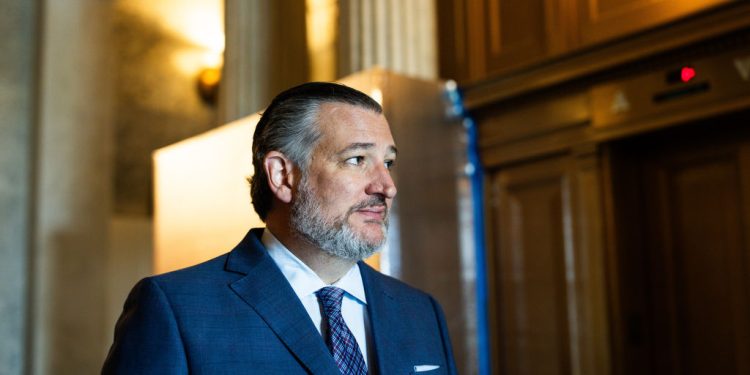 As 2024 Primaries Heat Up, Ted Cruz Faces Fierce Challenge from Colin Allred, Says University of Houston Report