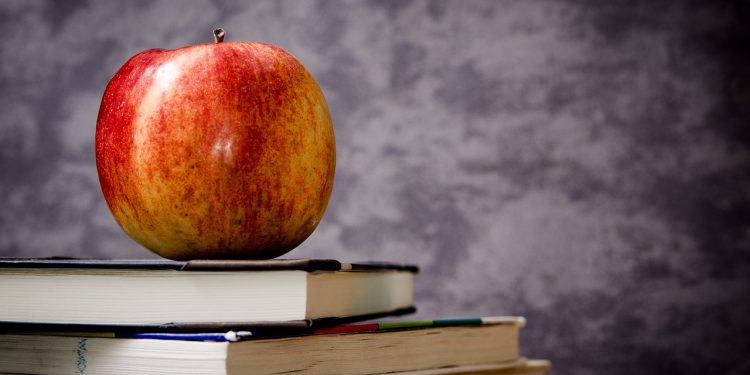 Addressing the “Bad Apples” in Texas Schools: A Call for Stricter Hiring Practices and Reforms
