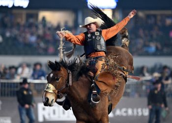 Cowboy Rodeo Hall of Fame; Celebrating Texas Roots