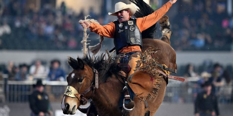 Cowboy Rodeo Hall of Fame; Celebrating Texas Roots