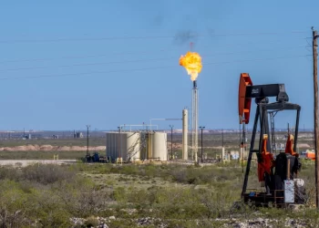 Texas Sues Federal Gov’t Over Concerns Endangered Lizard Listing Could Hurt Oil and Gas Sector