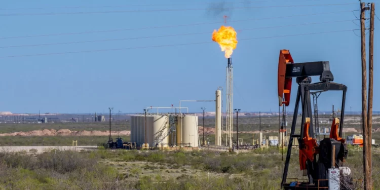 Texas Sues Federal Gov’t Over Concerns Endangered Lizard Listing Could Hurt Oil and Gas Sector