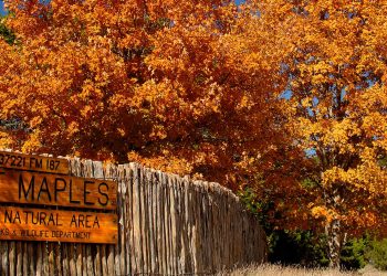 Best Texas State Parks to See Fall Foliage