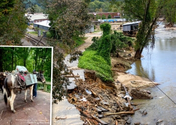 Amid the Undrivable Roads of North Carolina, a Pack of Mules Reaches Out to Help