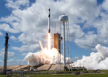 Trump Attends Starship Launch With Musk