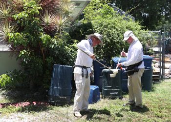 Texas Reports First Locally Acquired Dengue Case of 2024