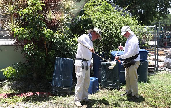 Texas Reports First Locally Acquired Dengue Case of 2024