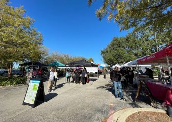 Celebrate the Season: Texas Farmers Markets Thrive This Holiday Season