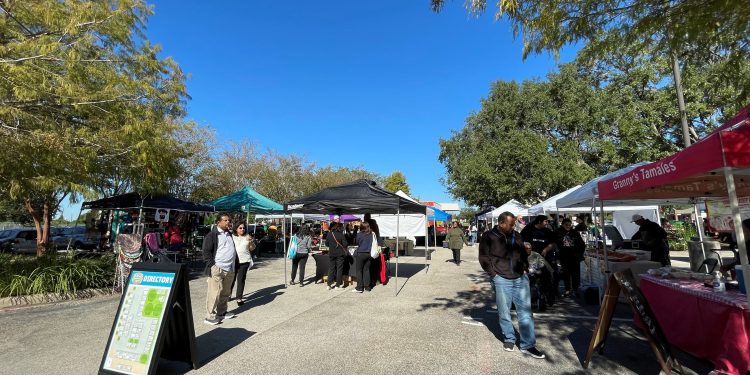 Celebrate the Season: Texas Farmers Markets Thrive This Holiday Season