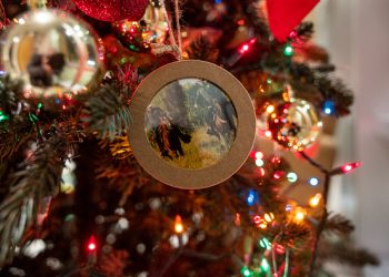 Celebrating Christmas the Texas Way