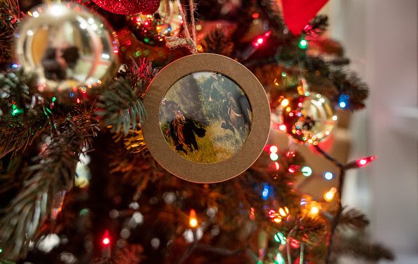 Celebrating Christmas the Texas Way