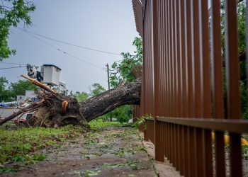 Tornadoes Touch Down in Texas and Mississippi, Killing 2 and Injuring 6 Others