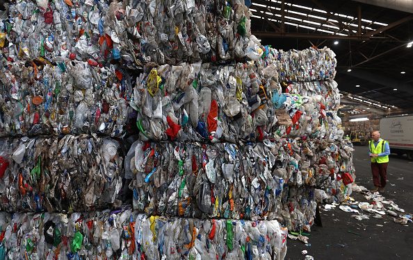 Have Holiday Food Waste? Try Composting!