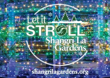Texas Botanical Gardens Dazzle with Magical Winter Light Shows