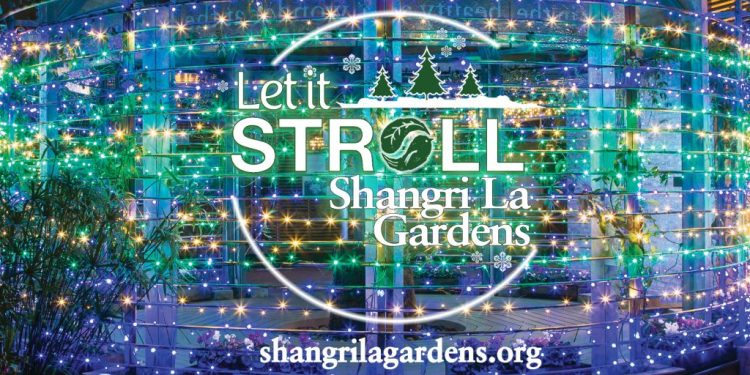 Texas Botanical Gardens Dazzle with Magical Winter Light Shows