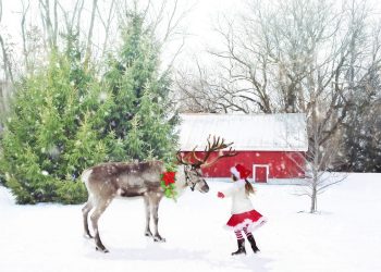 Step Into Holiday Magic: Stark Museum’s Reindeer Trail Brings Festive Fun to Southeast Texas