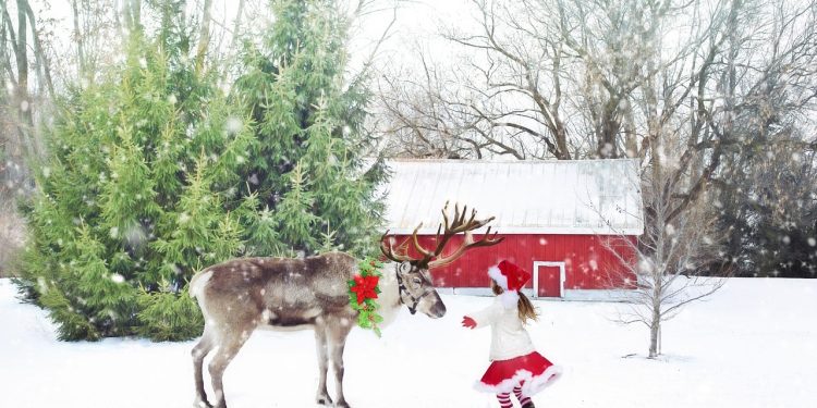 Step Into Holiday Magic: Stark Museum’s Reindeer Trail Brings Festive Fun to Southeast Texas