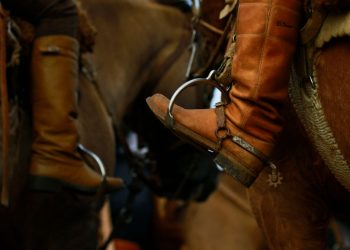 Forging a Legacy: The Origins of Texas Cowboys