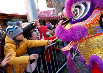 Lunar New Year 2025: Embrace Elegance and Growth with Wood Snake-Inspired Style