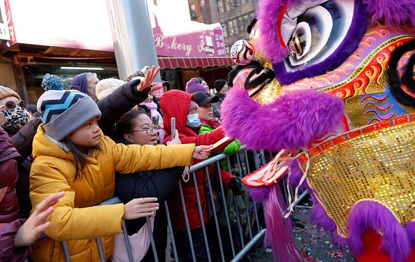 Lunar New Year 2025: Embrace Elegance and Growth with Wood Snake-Inspired Style