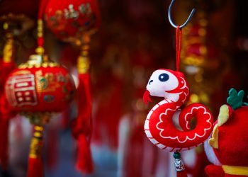Chinese New Year 2025 is the Year of the Snake: Exploring 蛇 (shé) and Its Cultural Significance
