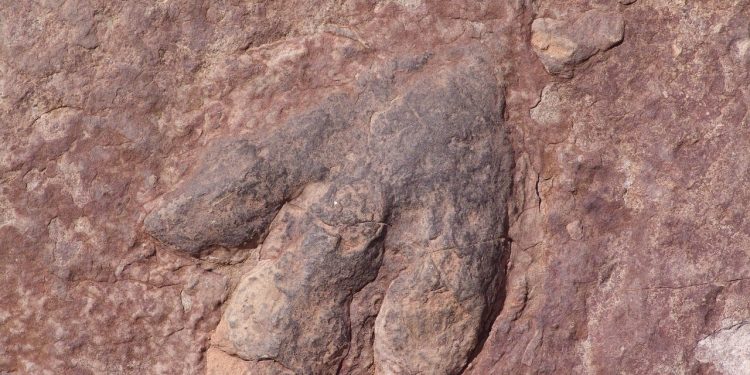 Discover Texas’ Dinosaur Legacy