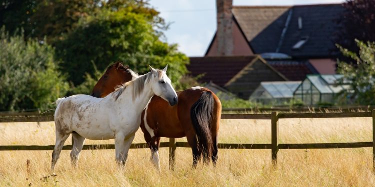 Texas Agriculture Commissioner Weighs in on China’s New Tariffs