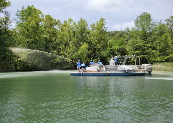 Austin Launches Final Year of Algae Reduction Pilot on Lady Bird Lake