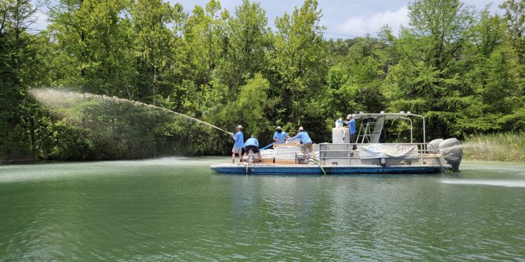 Austin Launches Final Year of Algae Reduction Pilot on Lady Bird Lake