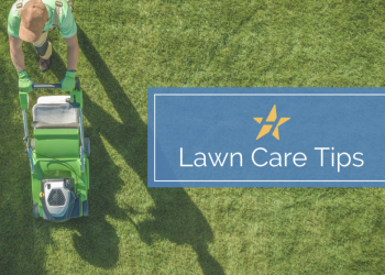 Smart Lawn Care & Water Conservation: Tips from the City of Hurst—and Beyond