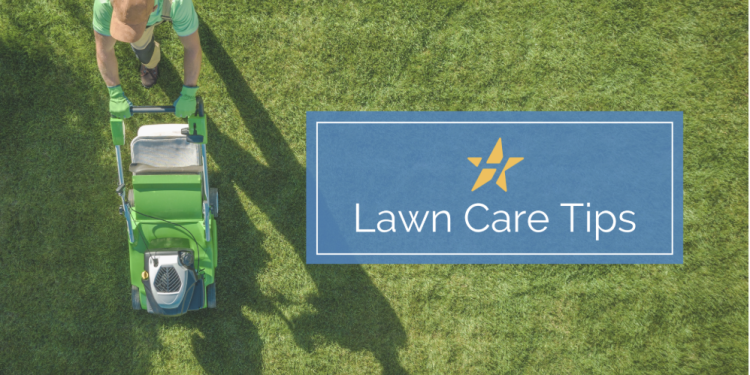 Smart Lawn Care & Water Conservation: Tips from the City of Hurst—and Beyond