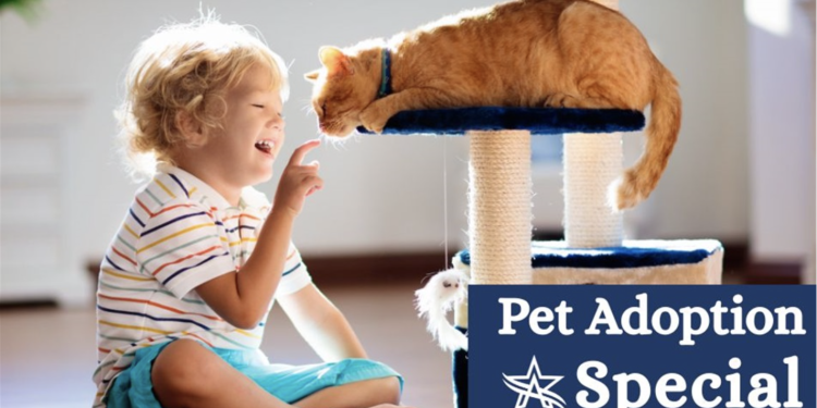 Arlington Shelter Offers $5 Pet Adoptions Amid Critical Overcrowding