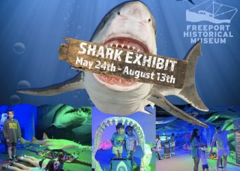 Dive Into History and Sharks at the Freeport Historical Museum This Summer