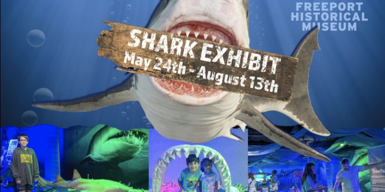 Dive Into History and Sharks at the Freeport Historical Museum This Summer