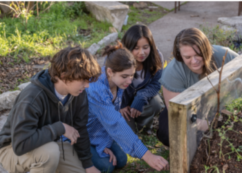 Texas Program Empowers Teachers to Lead Environmental  Education: ‘Take Care of Texas’ Ambassador Initiative Launches