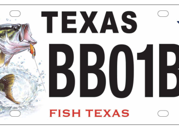 Support Texas Wildlife and Parks With a Plate That Gives Back