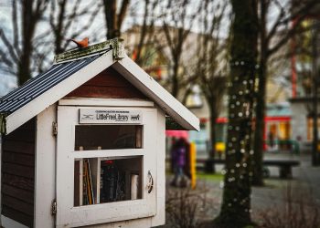 Upcycling Day Sparks “Little Library” Movement in Texas