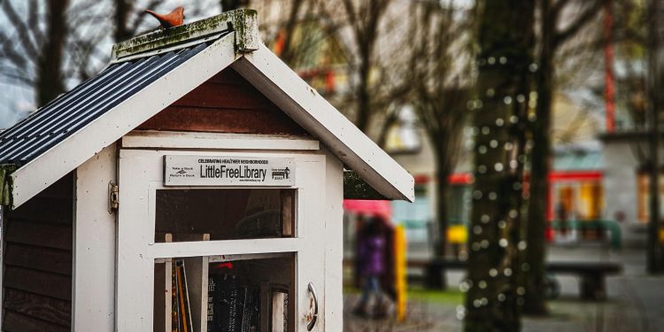 Upcycling Day Sparks “Little Library” Movement in Texas