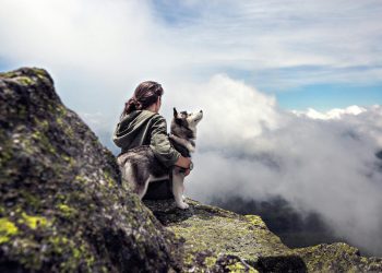 Stay Safe on the Trails: Texas Parks and Wildlife Shares Summer Heat Safety Tips