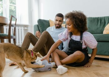 Dallas Animal Services Leads Texas in Pet Adoptions, Ranks 4th Nationally with Record-Breaking 2024 Numbers