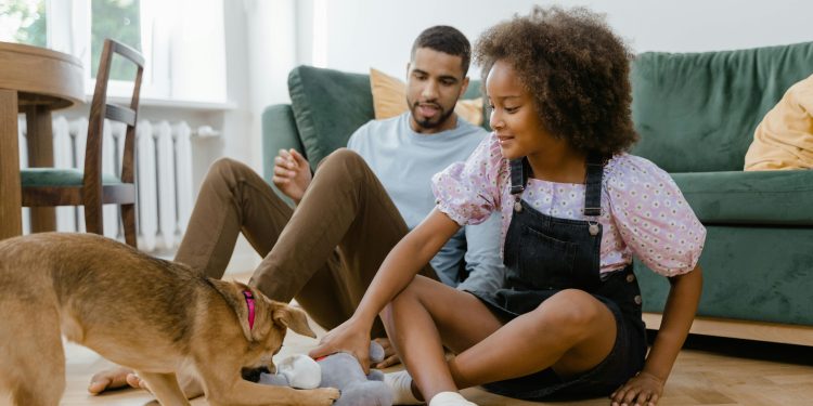 Dallas Animal Services Leads Texas in Pet Adoptions, Ranks 4th Nationally with Record-Breaking 2024 Numbers