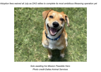 Texas Shelters Unite to “Calm the Canines” on Independence Day