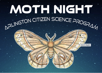 The Nights Are Getting Cooler – Arlington’s Best Wildlife Show Happens After Dark This Wednesday!