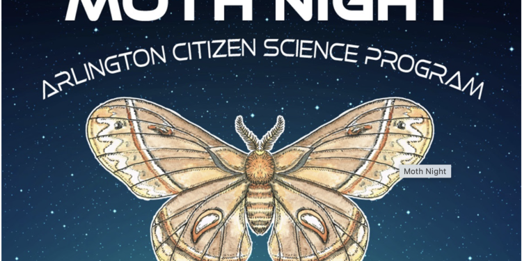 The Nights Are Getting Cooler – Arlington’s Best Wildlife Show Happens After Dark This Wednesday!