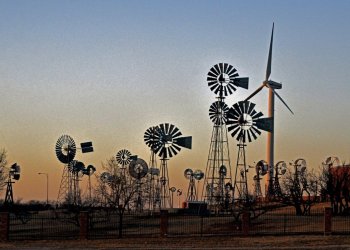 This Lubbock Museum Has the World’s Biggest Collection of Something You Never Knew You Wanted to See